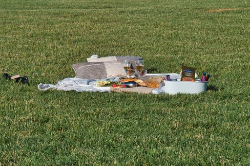 A Romantic Picnic Idea  at Olathe Lake in Olathe Kansas