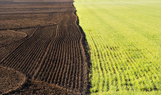 An aerial shot of an agricultural and that is half harvested.
