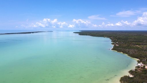 An aerial drone shot of the crystal clear water of the ocean