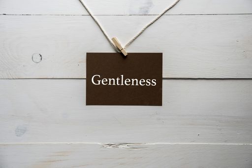 A closeup shot of a sing attached to a string with gentleness written on it
