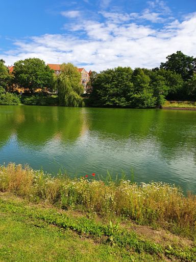 A vertical shot of a lake surrounded by trees during daytime