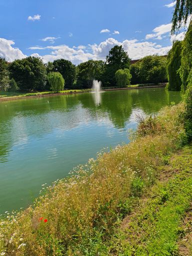 A vertical shot of a lake surrounded by trees during daytime
