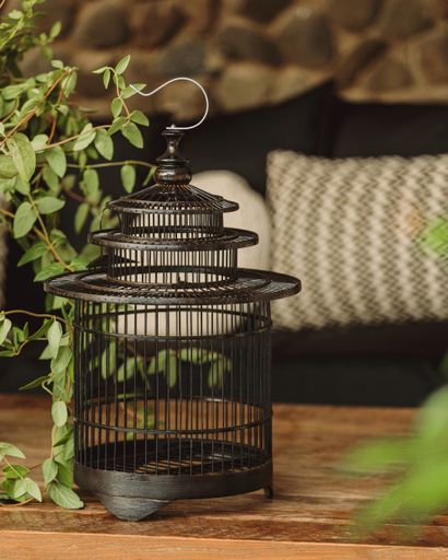 A vertical closeup shot of a decorative black birdcage next to an indoor plant
