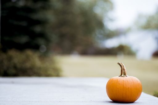 A closeup shot of a pumpkin with a blurred background