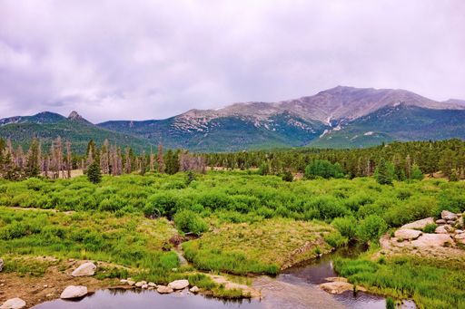 A mesmerizing shot of a beautiful forest surrounded by green mountains under a gloomy sky