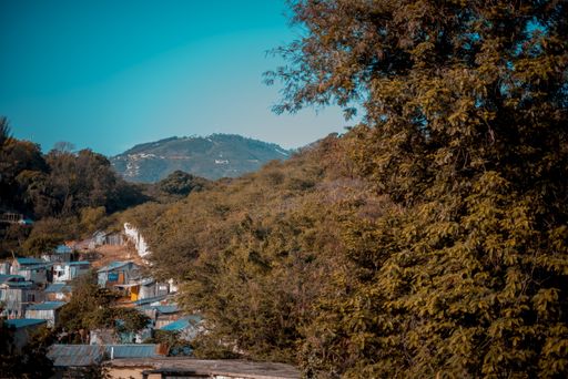 A beautiful shot of buildings on the hill surrounded by trees with a forested mountain and a blue sky in the background