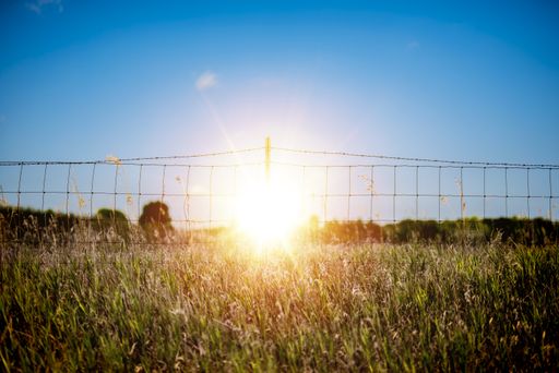 A beautiful shot of a grassy field with a barb wire fence with the sun shining in the blue sky