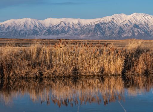 A beautiful shot of Great Salt lake in Utah
