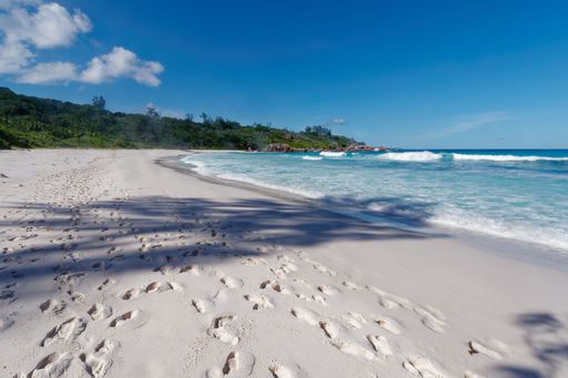 An aerial view of sandy Petite Anse beach with footprints near sea in background of growing trees