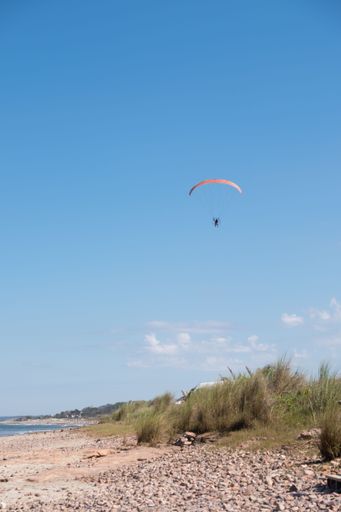A parasailing over Las Flores beach surrounded by growing trees