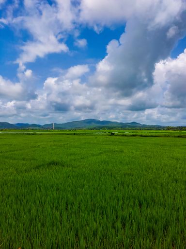 Goa, smallest state of India, is popular for its beaches and nightlife. The less known parts of Goa provide stunning beauty thru fields n rainforests.