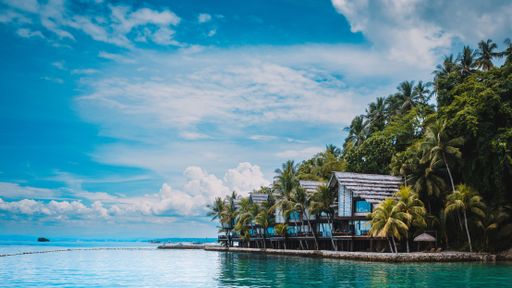 A beautiful view of houses surrounded by palm trees near the ocean