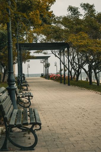 A vertical shot of benches along a cobblestone path near the river in Constanta, Romania