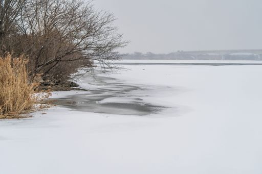 A beautiful shot of snowfield and trees with no leaves during winter