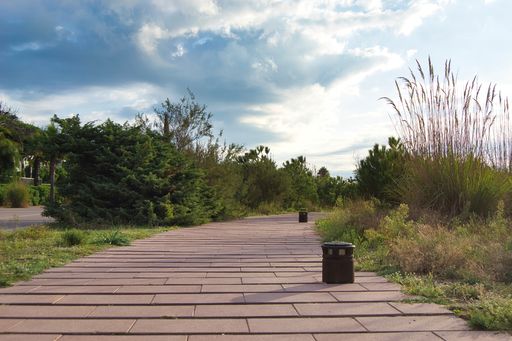 A road with waste bins in the park during daytime