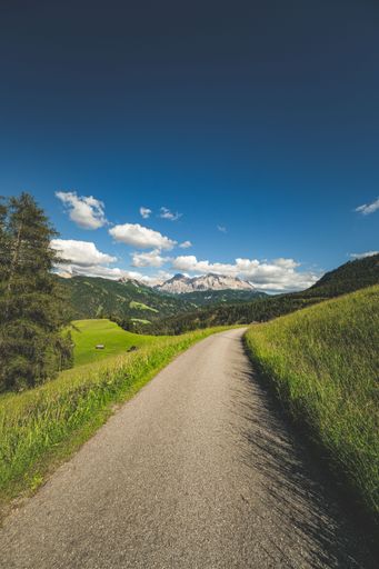 A vertical shot of a rural area with a pathway leading to the hills
