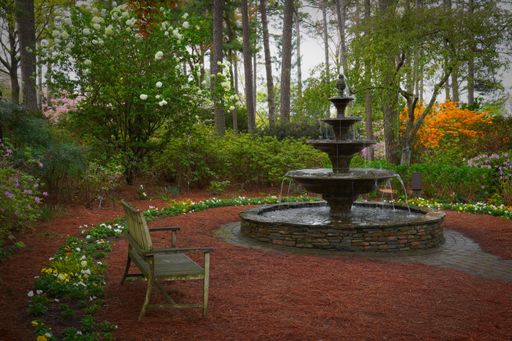 A quiet place in an azalea garden in Raleigh, North Carolina with a bench, a fountain and flowers in bloom