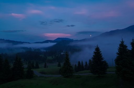 Fog over the trees in the mountains at dusk, twilight, haze
