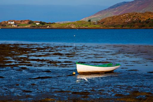 A view of white and green boat parked on sea beach in background of greenery mountains