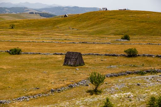 A view from the hill of small hut and scattered green bushes in the yellow field