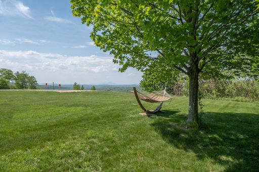 A pendulum hanging from a tree with a green meadow and blue sky on the background
