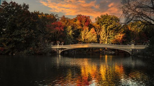 A picturesque view of the Bow bridge and its reflection on the water in the famous Central Park in NY