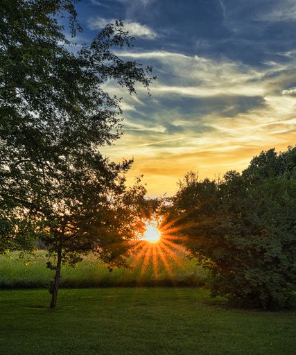 A vertical shot of landscape with green area, trees and a sun brightly shining in the back