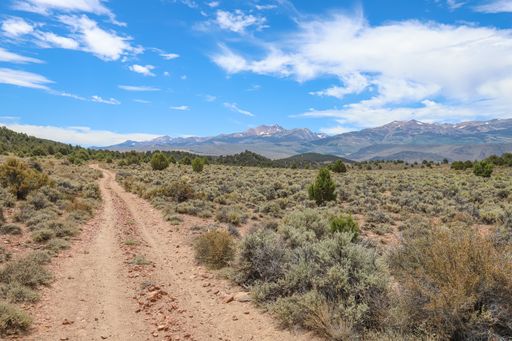 A dirt double track in the Sierra Nevada backcountry
