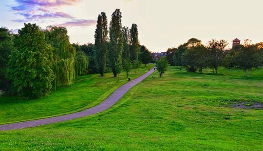 A scenic shot of a narrow path in a green field at sunset