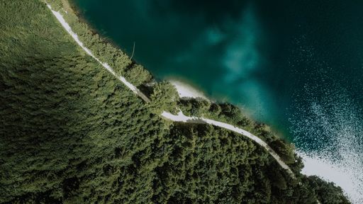 An overhead aerial shot of a long gray path leading through a dense forest next to bright blue water