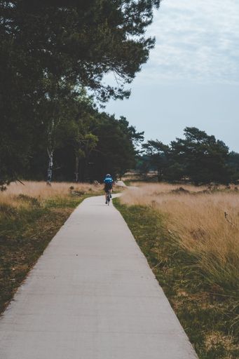 A vertical shot of a person riding a bicycle in a park with green trees