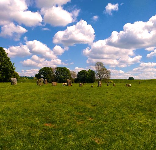 A vertical shot of a rural scene with livestock pasturing on a field