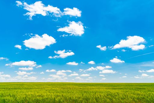 A scenic view of a green meadow in cloudy sky background in sunny weather