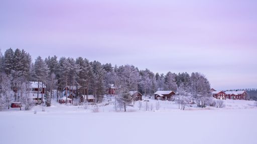 Several houses in the countryside surrounded by trees covered in snow