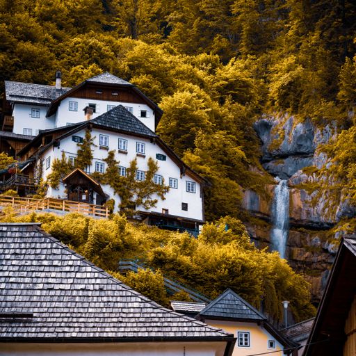 A vertical shot of houses surrounded by yellowish vegetation. Hallstatt, Austria.