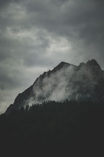 A vertical shot of a mountain peak covered with fog and mist with trees