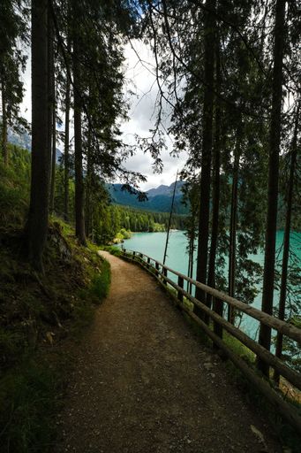 A vertical shot of a narrow pathway under trees between greenery cliff and a lake