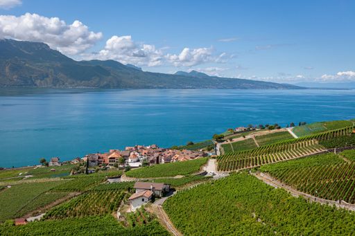 An aerial view of the beautiful Lavaux vineyards and Lake Geneva on a sunny day in Lavaux, Switzerland