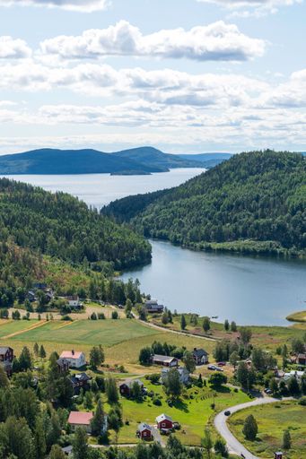 A high angle shot of rural houses on a shore of a lake surrounded by green hills