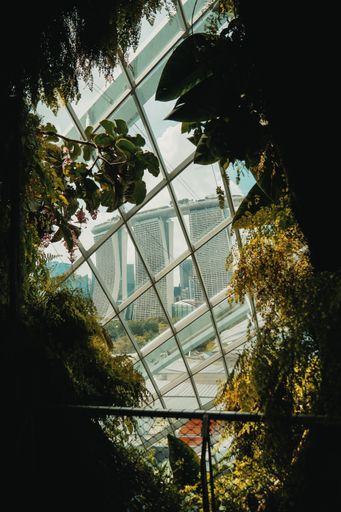 A vertical shot of the Marina Bay Sands building seen through the glass of a greenhouse in Singapore