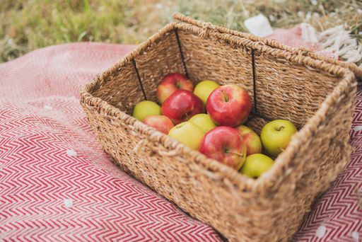 A square wicker basket with ripe apples on a blanket in a garden