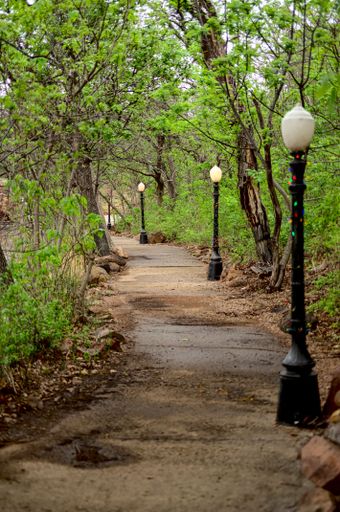 A vertical shot of walkway surrounded by trees in the park