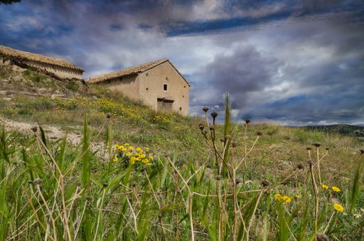 An old-style abandoned house standing alone in a valley surrounded by vegetation