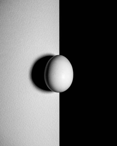 A grayscale of an egg with a shadow on a two-tone background