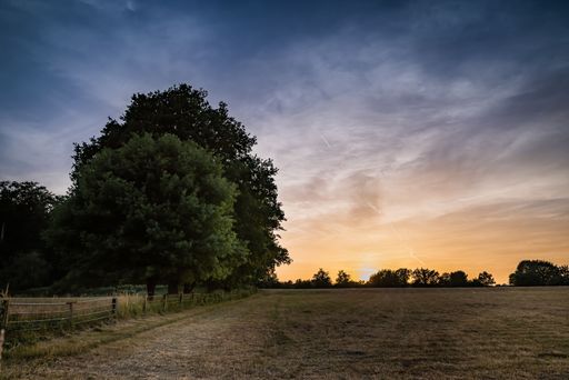Nice photo of a mown field at sunset with trees in summer