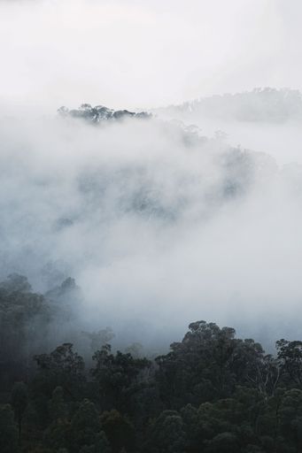 A vertical shot of mountain forests hidden behind the clouds