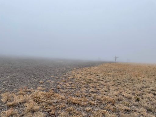 A large wild brown grass field with foggy air and a Scarecrow on the horizon