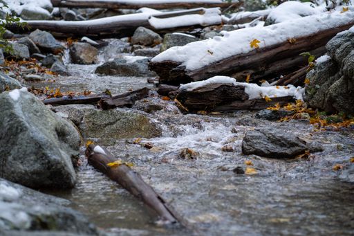 A closeup of the creek with logs covered with snow. California, United States.