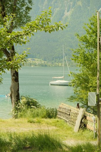 A vertical shot of a sailboat floating in the middle of a lake surrounded by vegetation