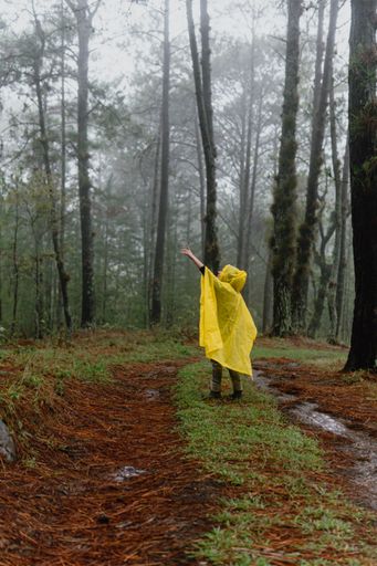 A person in yellow raincoat walking in a wet forest